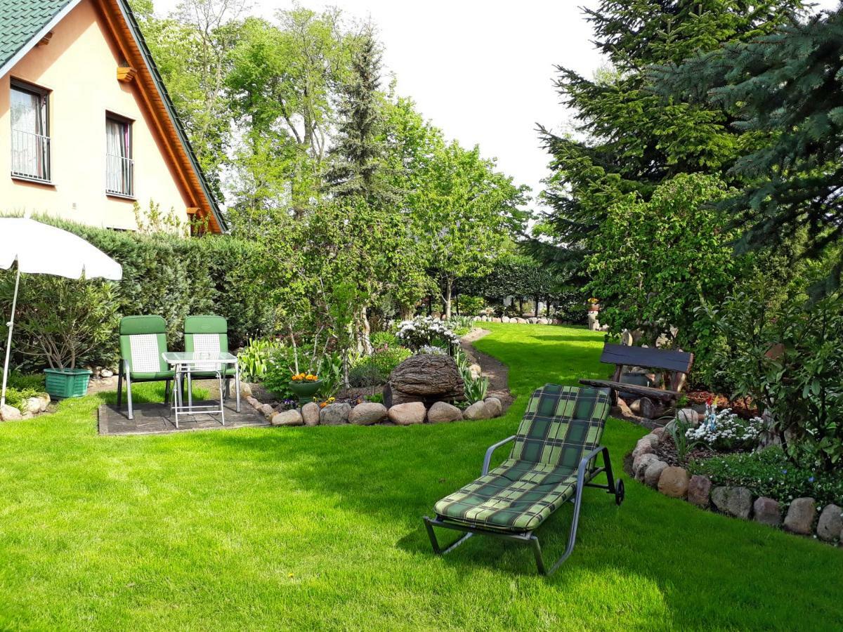 Pension Zum Weissen Hirsch Reitwein Esterno foto