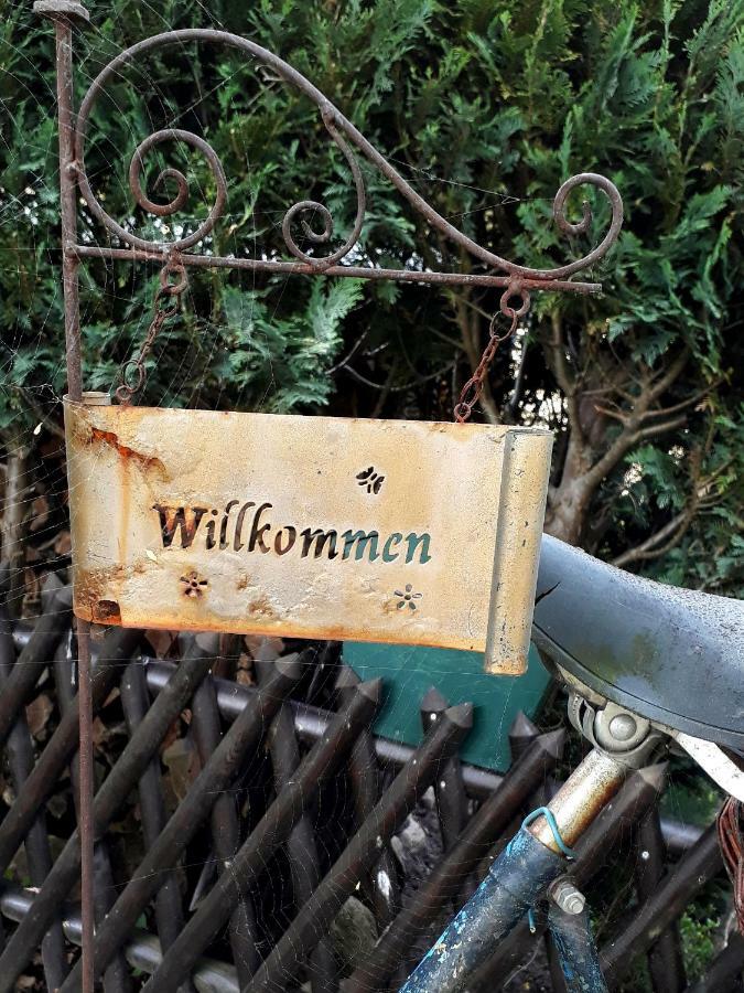 Pension Zum Weissen Hirsch Reitwein Esterno foto