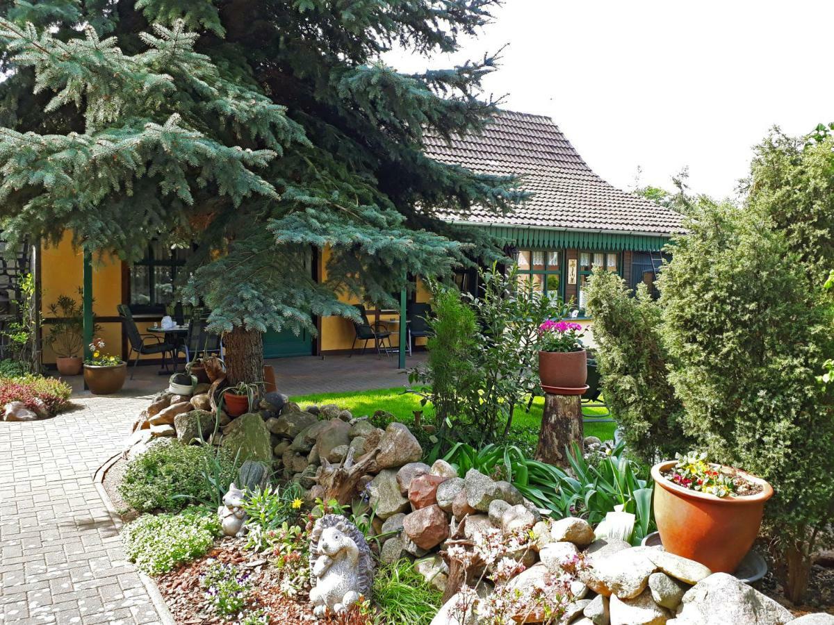 Pension Zum Weissen Hirsch Reitwein Esterno foto