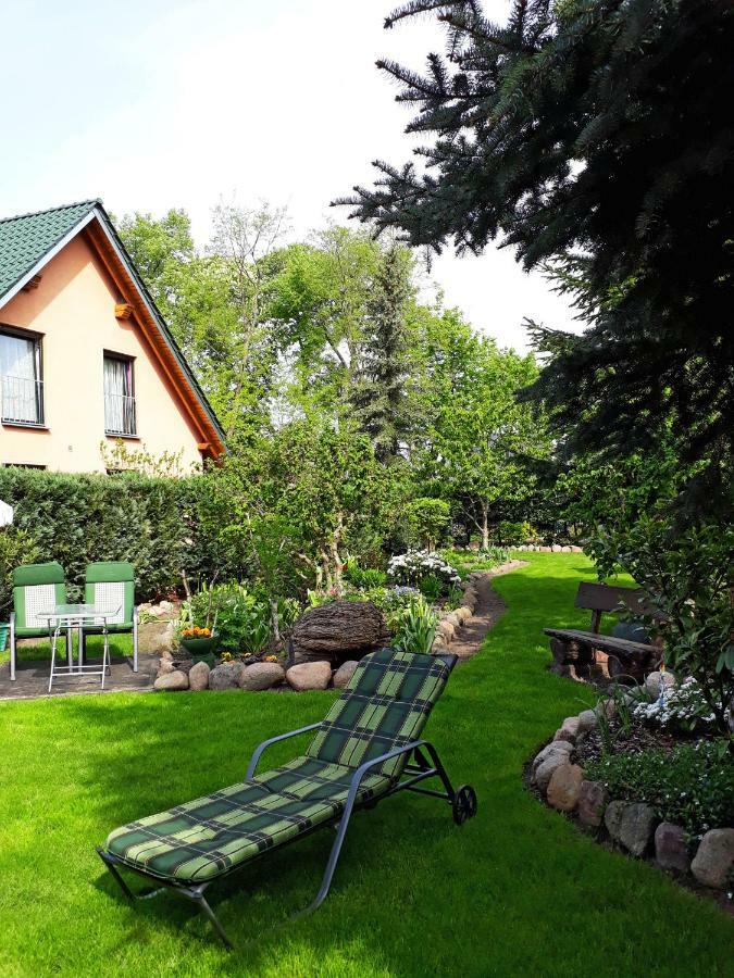 Pension Zum Weissen Hirsch Reitwein Esterno foto