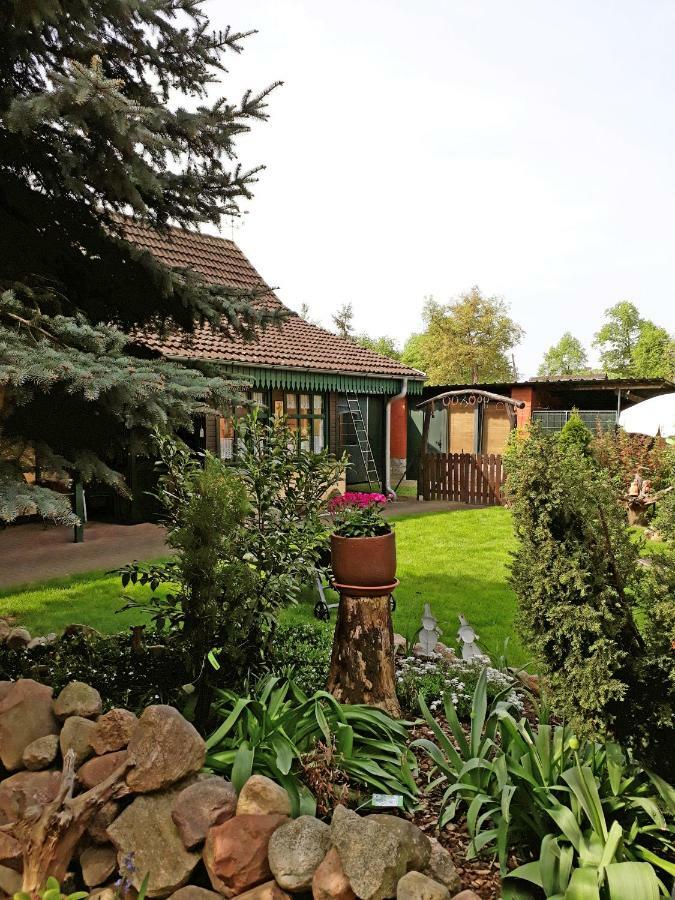 Pension Zum Weissen Hirsch Reitwein Esterno foto