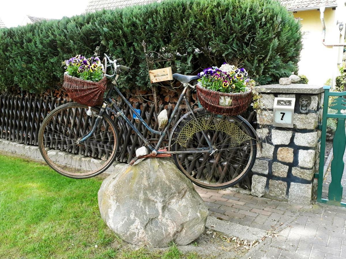 Pension Zum Weissen Hirsch Reitwein Esterno foto